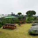 한동향기 이미지