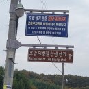 노적봉한정식 | 💰 의령 가볼 만한 곳: 삼성 창업주 '호암 이병철 생가'에서 부자 기운 받아가세요! ✨