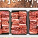 섬고기 이미지