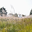 계절그리기 이미지