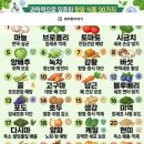 자주 먹으면 좋은, '항염증 식품 13가지' 이미지