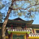정진사 | [모임후기]제45회 사찰탐방모임-서울둘레길 17코스(구파발역-불광역 산길)-2026년 4월 26일 일요일 오후...