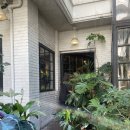 어반플랜트(UrbanPlant) | ෆ 합정카페, 화분주는 브런치맛집 <어반플랜트> 내돈내산 솔직후기