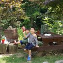 자연을닮은사람들 이미지