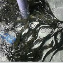 금천장어구이 이미지