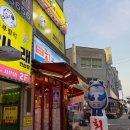 회꽃피는밤 이미지