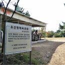 용호2동 체육공원 이미지