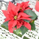 빅스토아 이미지