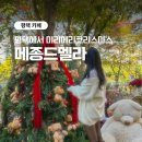 메종드마마카페 | 평택 브런치 카페 메종드멜라 데이트 감성카페 내돈내산 후기