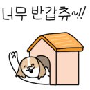 아롱이 애견 이미지