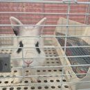 (주)그린아쿠아펫 | [군산]아이들과 가기좋은 엔젤 아쿠아펫가든&amp;카페,만월경 다녀온 후기