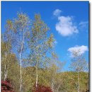 허브나라농원 이미지