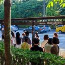 부천고강동물약국 이미지