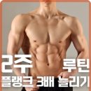 핏포유 이미지