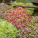 농산물한식뷔페 이미지