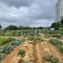 작은농장 이미지