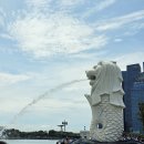 실버코스트88 | 임신 24주차 증상 손목통증 다리부기 배크기