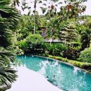 투어 호텔 | 발리 여행 코스 우붓 투어 일정 호텔 후기