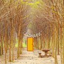 아로목장 이미지