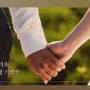 탱고픽처스 이미지