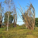 강천섬관리사무소화장실 이미지