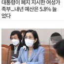 여가부 예산 증액 반응 이미지