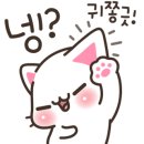 (주)올래투어 이미지