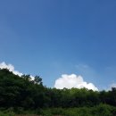 용인 서리 - "명불허전"맞춤형 전원주택단지 35세대 "해누리숲" 분양! 이미지