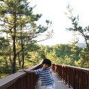 송호파크 이미지