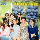 소금별은지