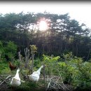 변산농장 이미지