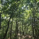10월10일(토) 관악산~청룡산 둘레길 (6~7 km) 이미지