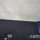 생명의 그물 2 이미지