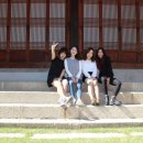 서울리스타 이미지
