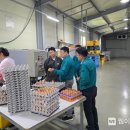 군산축산 이미지