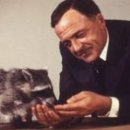 퍼스트펫 이미지