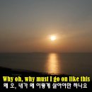해변의 양아치..? 엘코도르 파샤.. 이미지