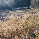 앵지밭골 이미지