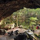 알음알음제주 이미지