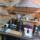 봄날의 댕댕이 | 전주에서 찾은 나만의 작은 행복, 봄날처럼 포근했어요!