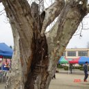 해보초등학교 이미지