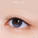 다비치안경영종