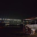옛날통닭앤드고구려닭갈비 | [카라반] Ep.24 충주 노지캠핑(고구려비전시장, 중앙탑공원, 충주박물관, 수주팔봉 etc)