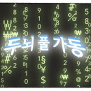꽃;식물연규소