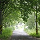 죽청농장 이미지