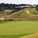 포항골프장(대중18홀) 이미지