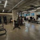 새싹피티 이미지