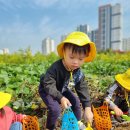 재훈농장 이미지