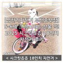 부천중 | [삼천리자전거 부천중부점] 5–6세 크리스마스 선물 딱! 2025 시크릿쥬쥬 18인치 자전거 후기