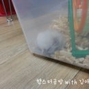 잘자 이미지